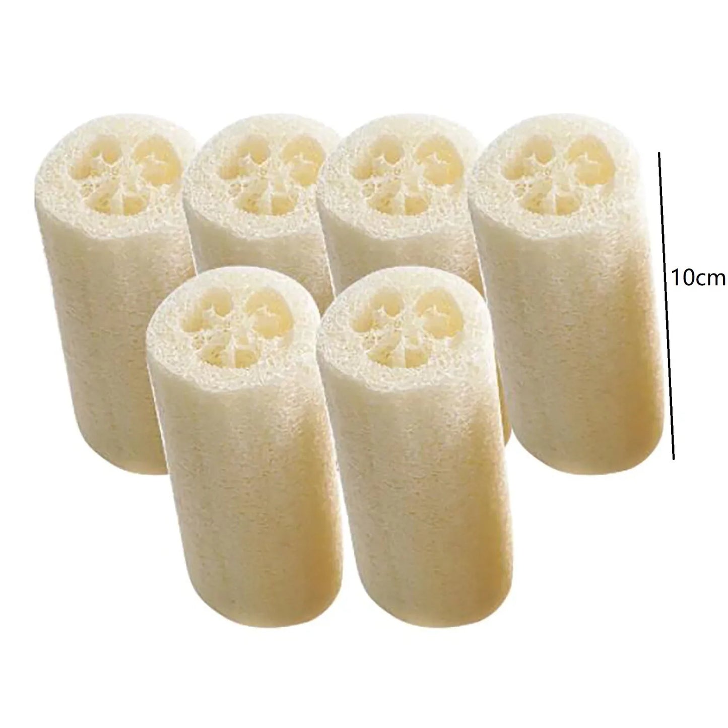 6 Pack Natural Loofah Sponges