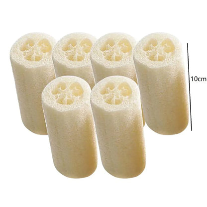 6 Pack Natural Loofah Sponges