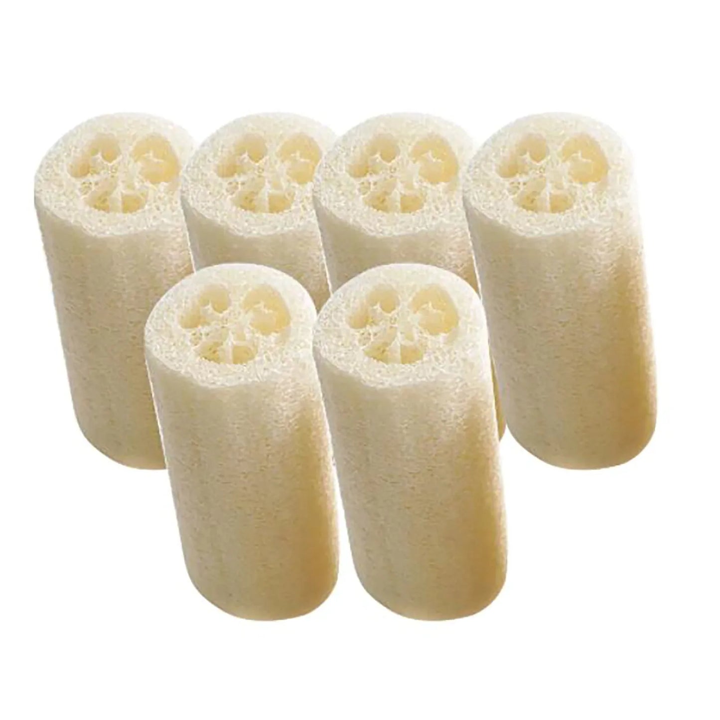 6 Pack Natural Loofah Sponges