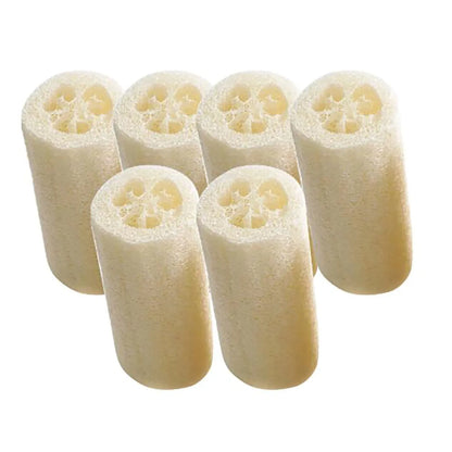 6 Pack Natural Loofah Sponges